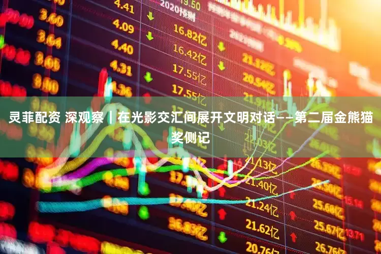 灵菲配资 深观察｜在光影交汇间展开文明对话——第二届金熊猫奖侧记